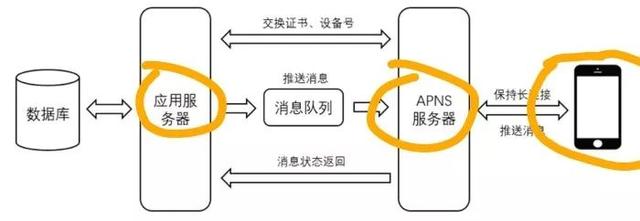 重磅！華米OV將重建國內安卓生態，這次看你們了(5)