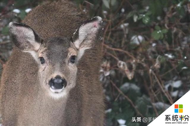 拍照玩“創意”之前，這些“失敗的教訓”請先吸取一下(20)