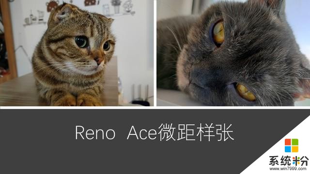 全能王者又將引領安卓新趨勢，OPPO Reno Ace評測(33)