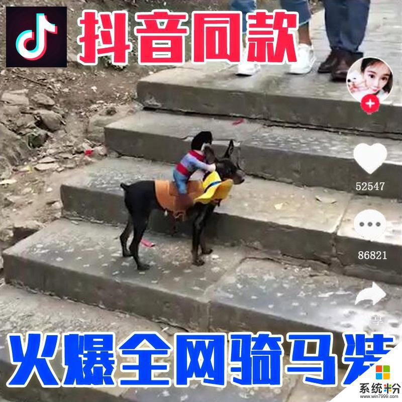 抖音騎馬文案